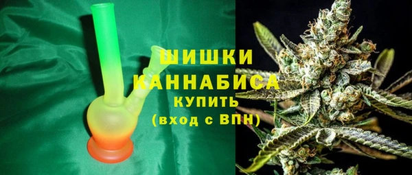 прущие грибы Сафоново