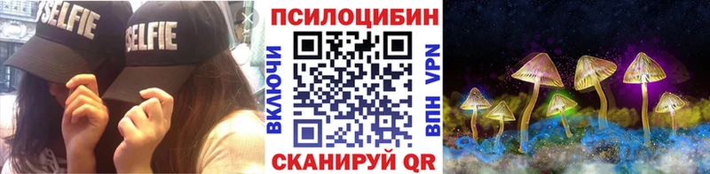 наркошоп  Жердевка  Псилоцибиновые грибы Psilocybine cubensis 